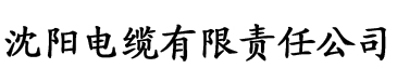 91香蕉大视频电缆厂logo